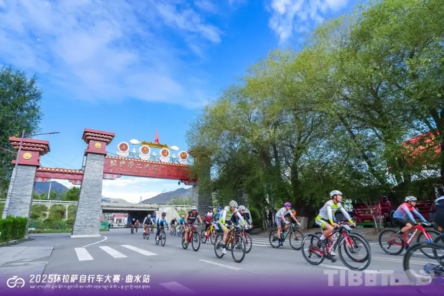 cn, msn, 选手们从曲