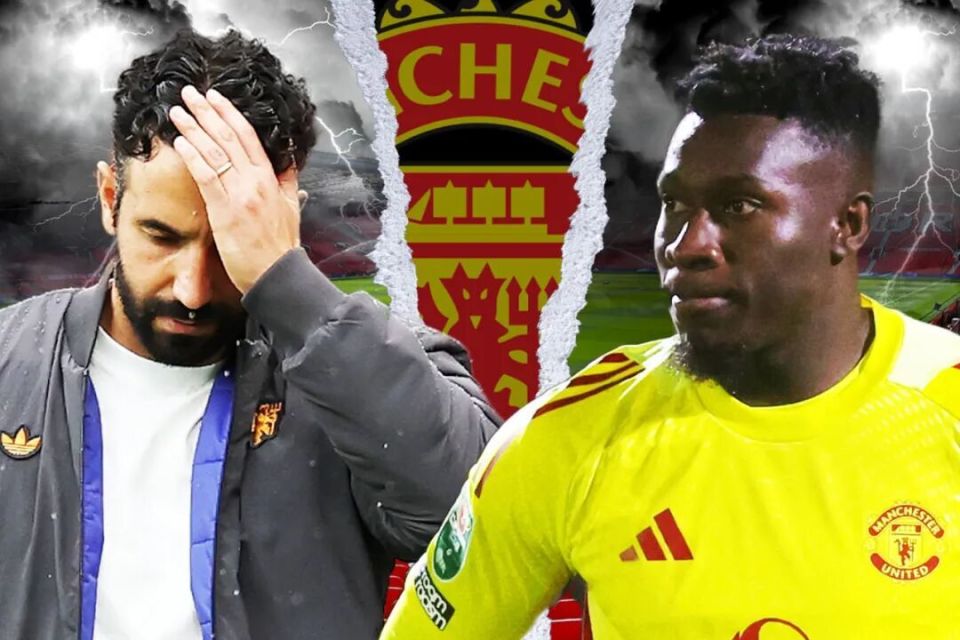 感觉安德烈, img 感觉安德烈, img