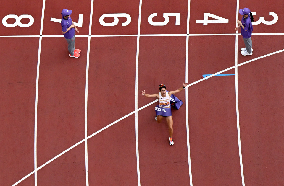 选手佩雷斯, 冠军西班牙, img